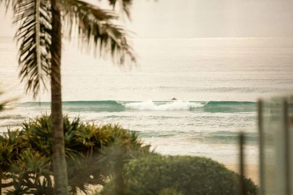 Waves 203 On Currumbin Gold Coast Lejlighed